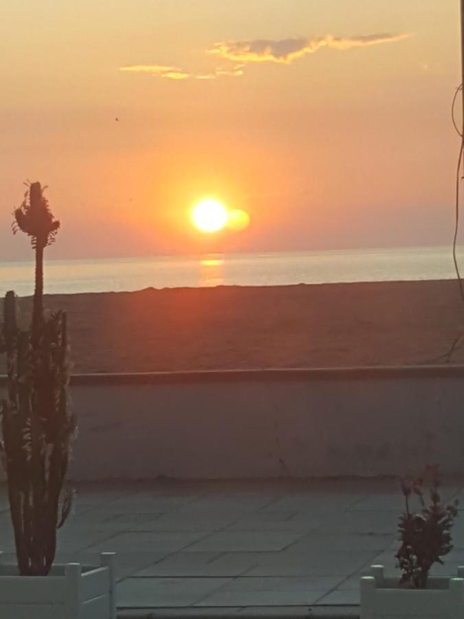 Vila Yza Otel Eforie Nord Dış mekan fotoğraf